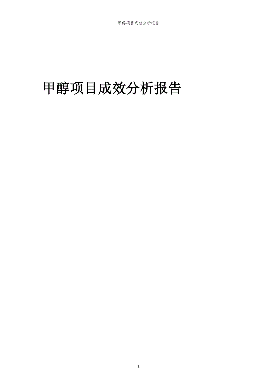 2024年甲醇项目成效分析报告_第1页