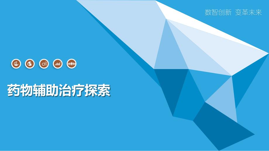 药物辅助治疗探索-第1篇_第1页