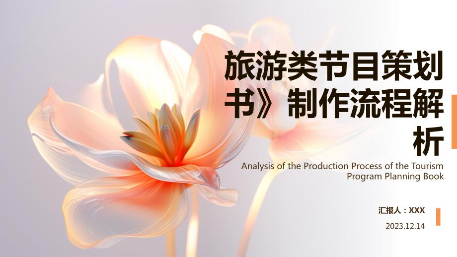 旅游类节目策划书制作流程解析_第1页