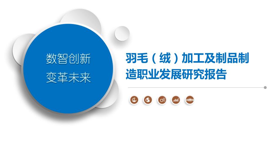 羽毛（绒）加工及制品制造职业发展研究报告_第1页