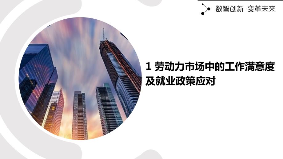 劳动力市场中的工作满意度及就业政策应对_第1页