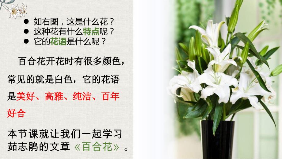【统编版】高一必修上册《第3课 百合花》优秀课件（28张PPT）_第1页