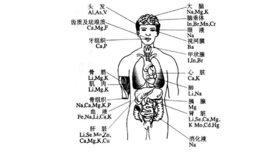 【高中化学】原子结构与元素周期表1课件 2023-2024学年高一上学期化学人教版（2019）必修第一册_第1页