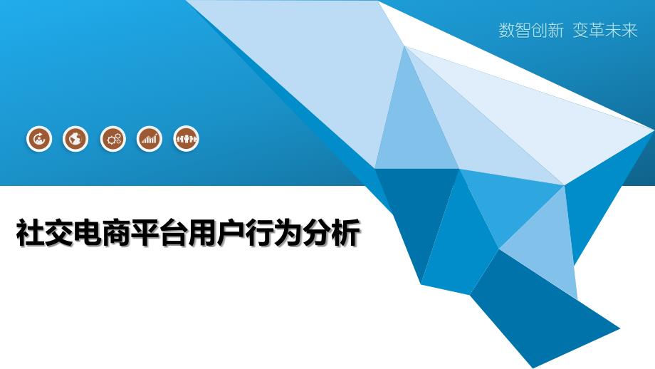社交电商平台用户行为分析_第1页