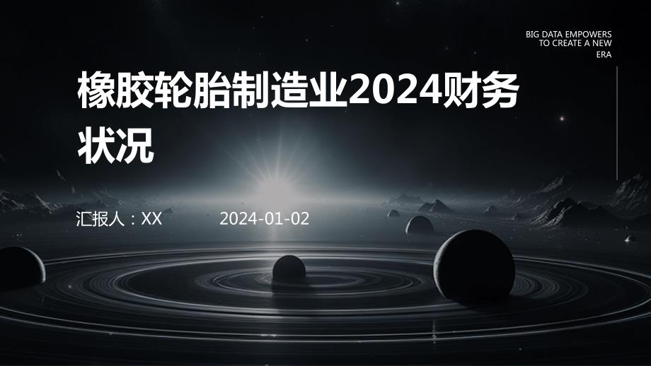 橡胶轮胎制造业2024财务状况_第1页