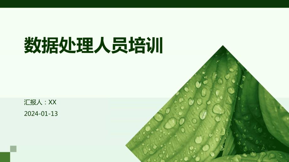 数据处理人员培训_第1页
