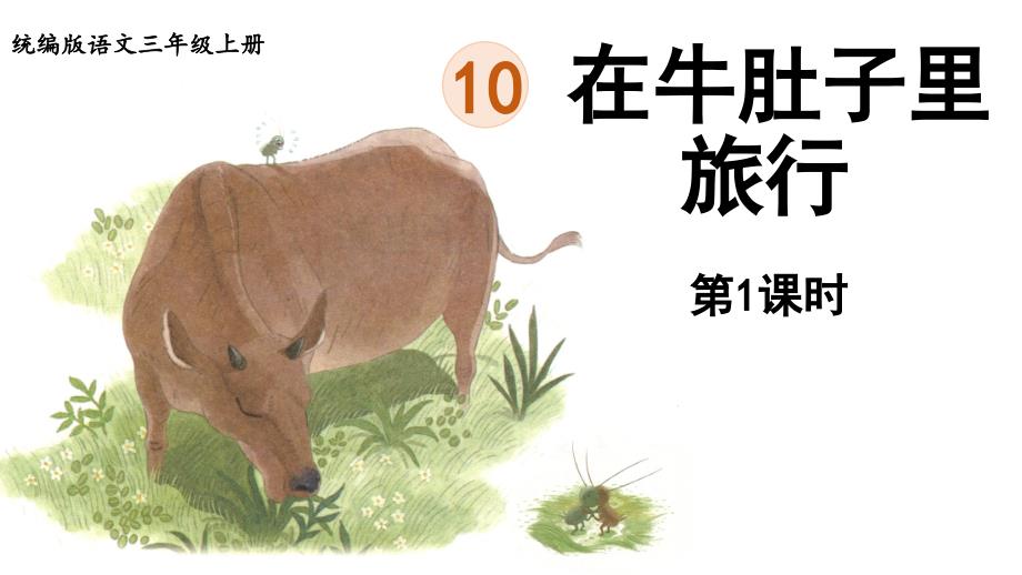 部编版三年级《语文》上册第10课《在牛肚子里旅行》精品课件_第1页
