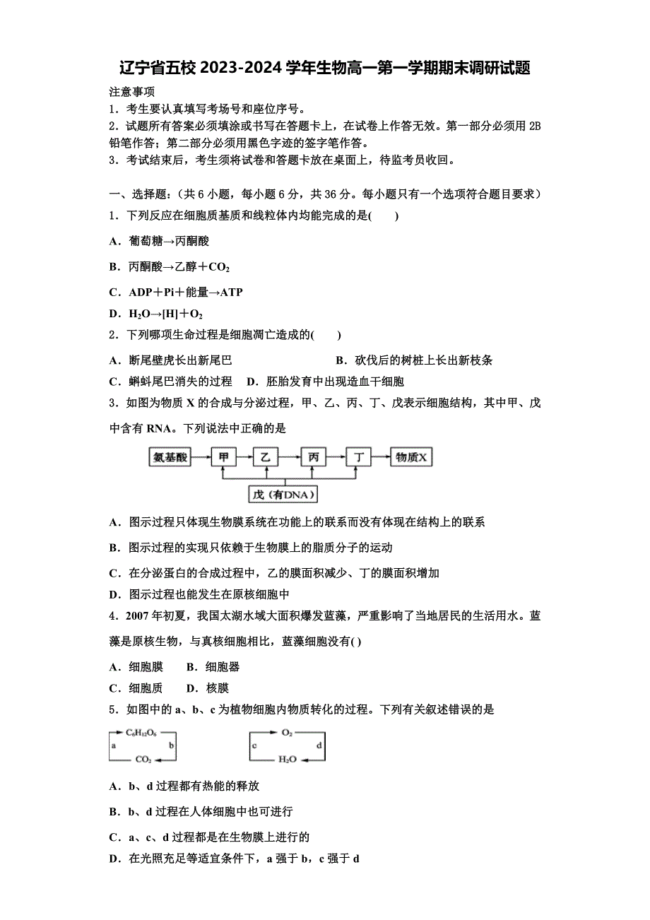 辽宁省五校2023-2024学年生物高一第一学期期末调研试题含解析_第1页
