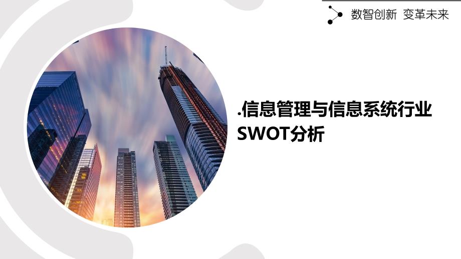 信息管理与信息系统行业SWOT分析_第1页