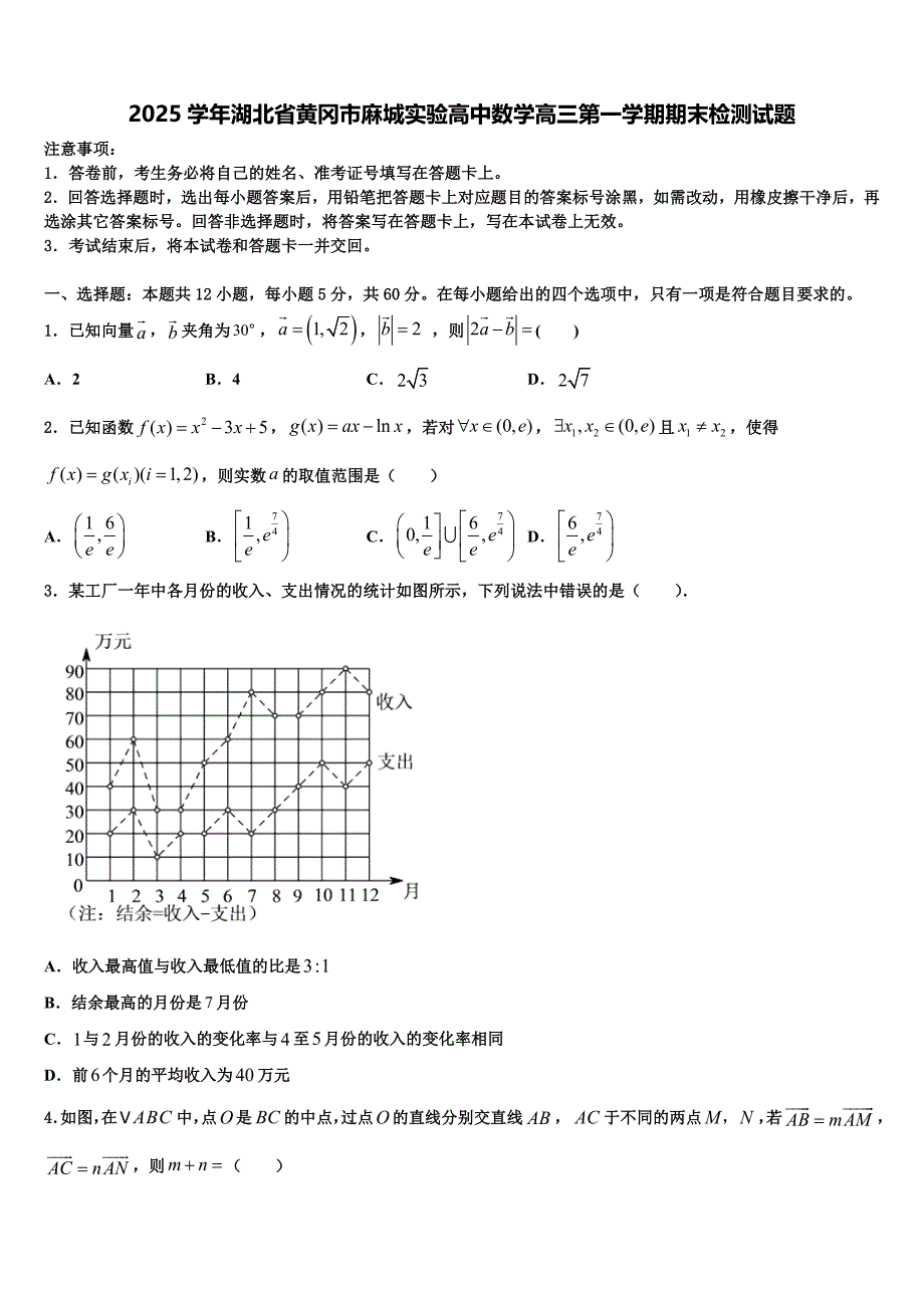 2025学年湖北省黄冈市麻城实验高中数学高三第一学期期末检测试题含解析_第1页