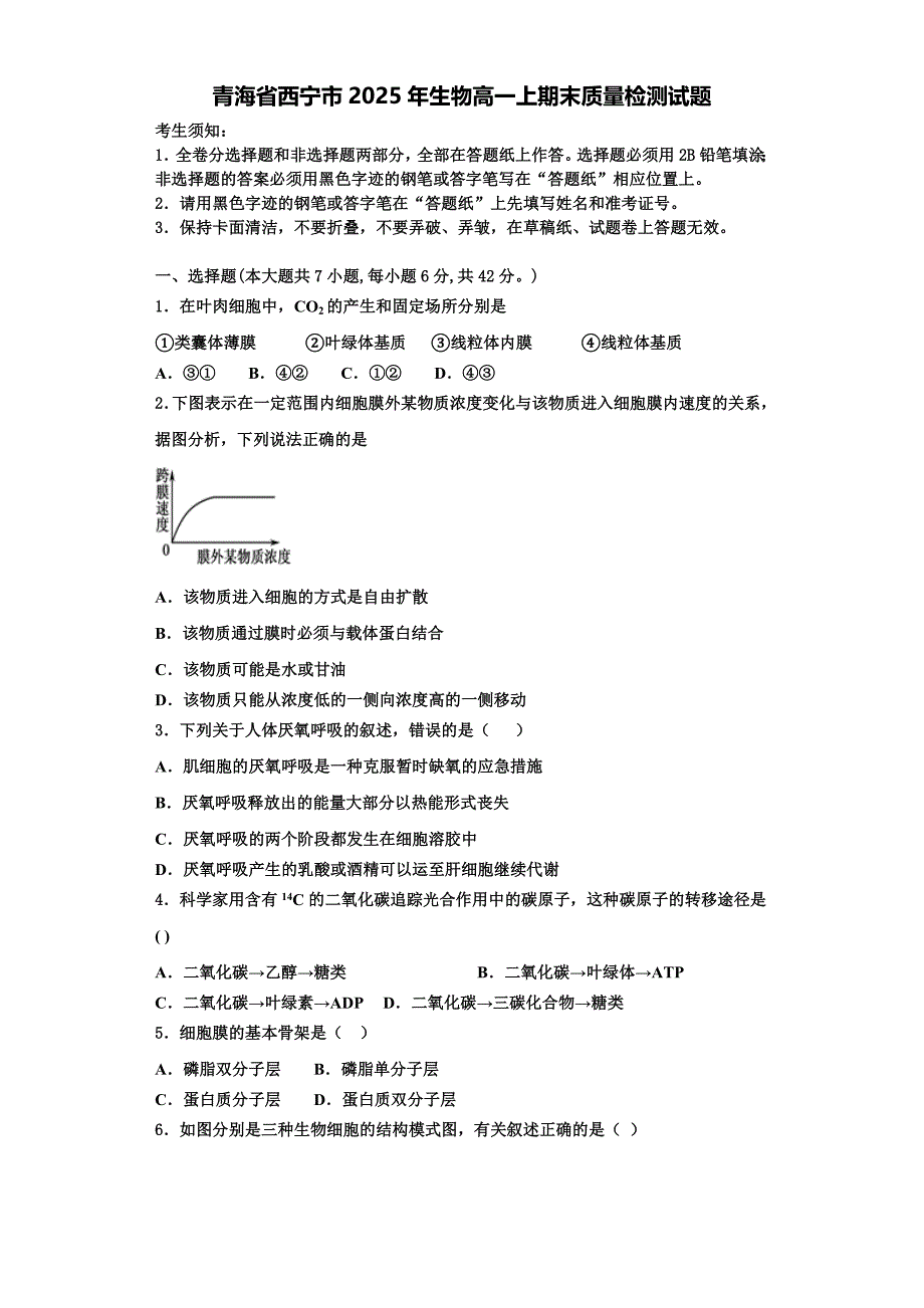 青海省西宁市2025年生物高一上期末质量检测试题含解析_第1页