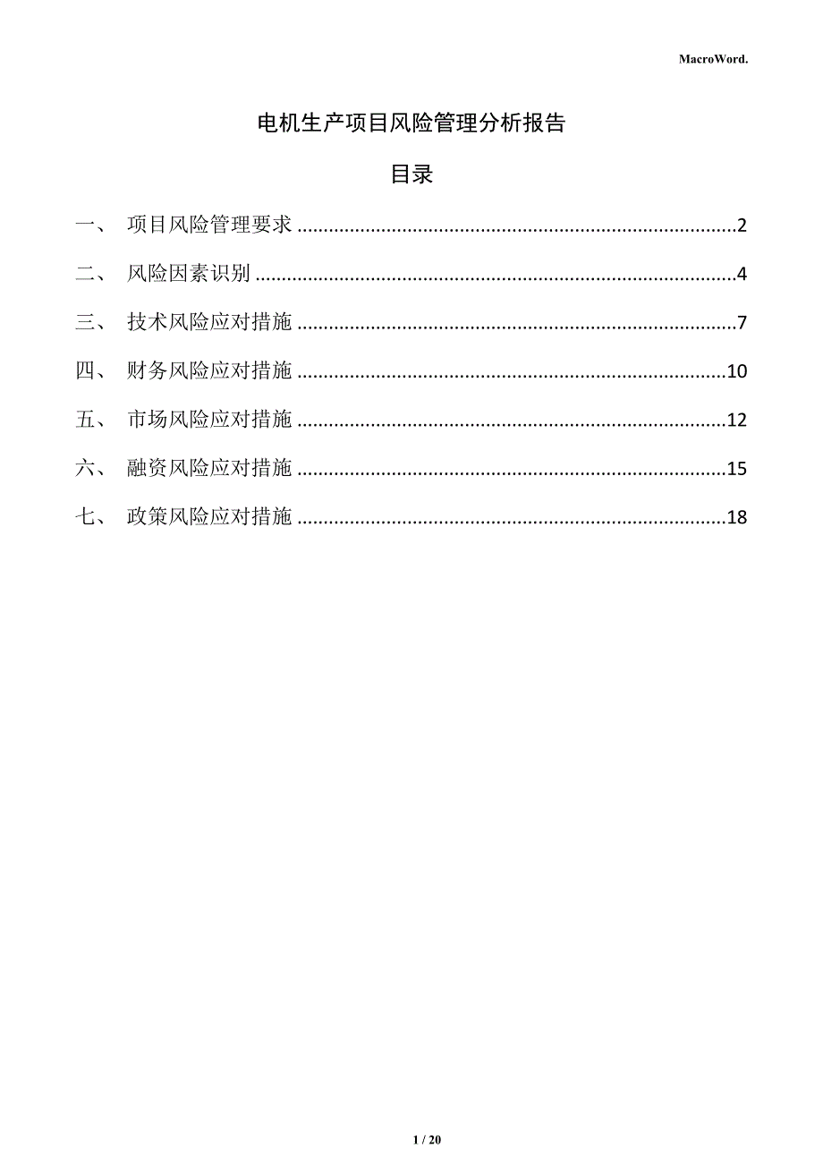电机生产项目风险管理分析报告（范文）_第1页