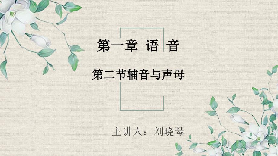 第二节：辅音与声母（2024版新教材）_第1页