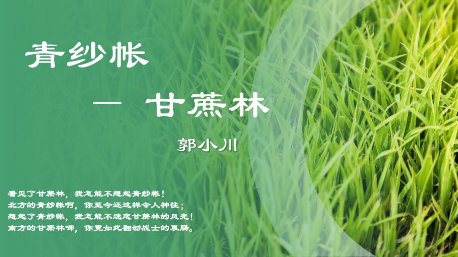 《青纱帐——甘蔗林》 课件2025年高教版（2025）中职语文基础模块下册_第1页