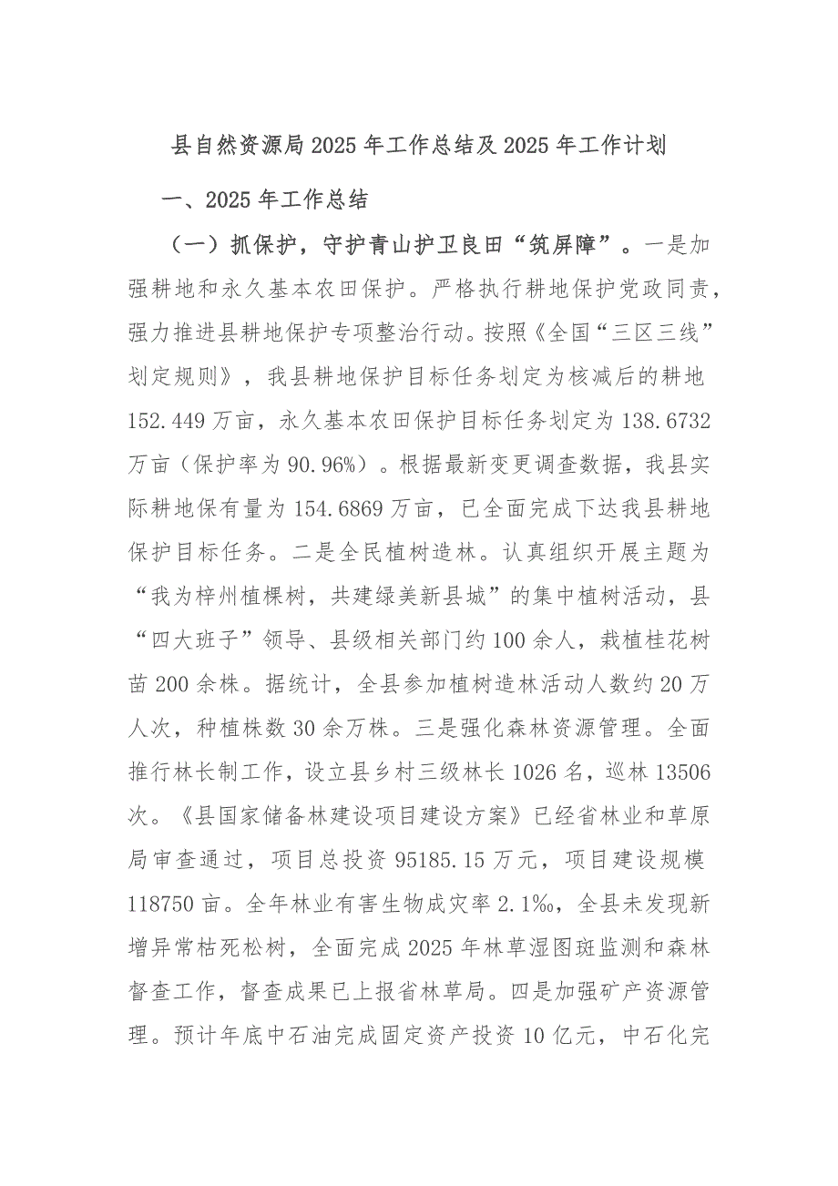 县自然资源局2025年工作总结及2025年工作计划_第1页