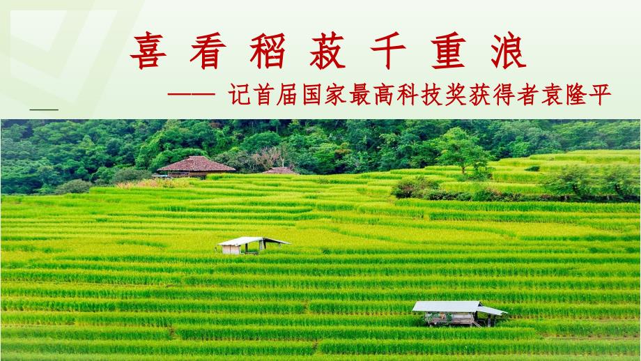 [高++中+语文]《喜看稻菽千重浪》课件++统编版高中语文必修上册_第1页