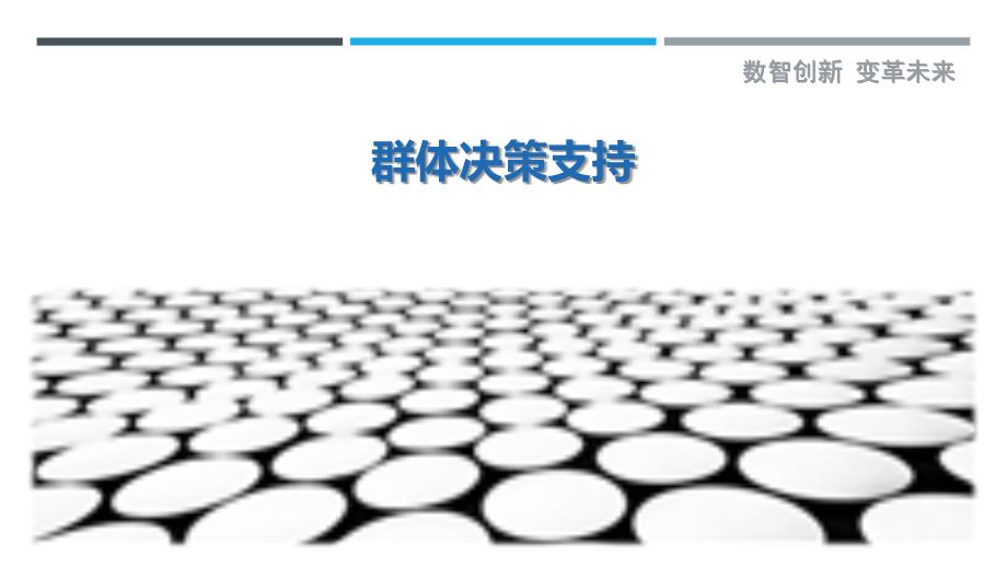 群体决策支持_第1页