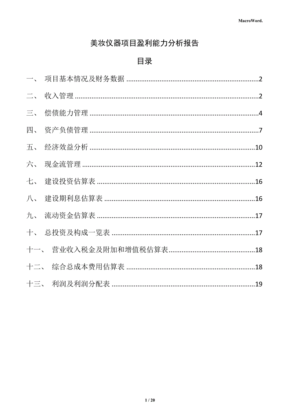 美妆仪器项目盈利能力分析报告（范文模板）_第1页