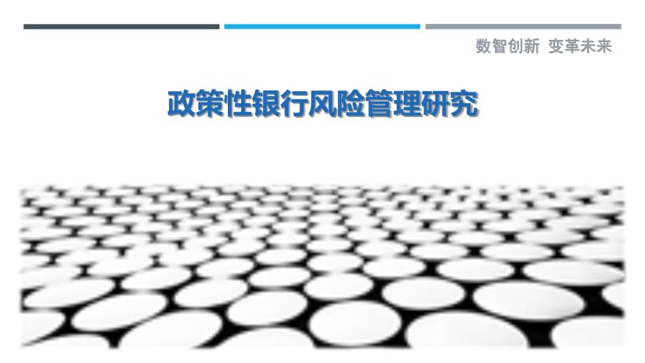 政策性银行风险管理研究_第1页