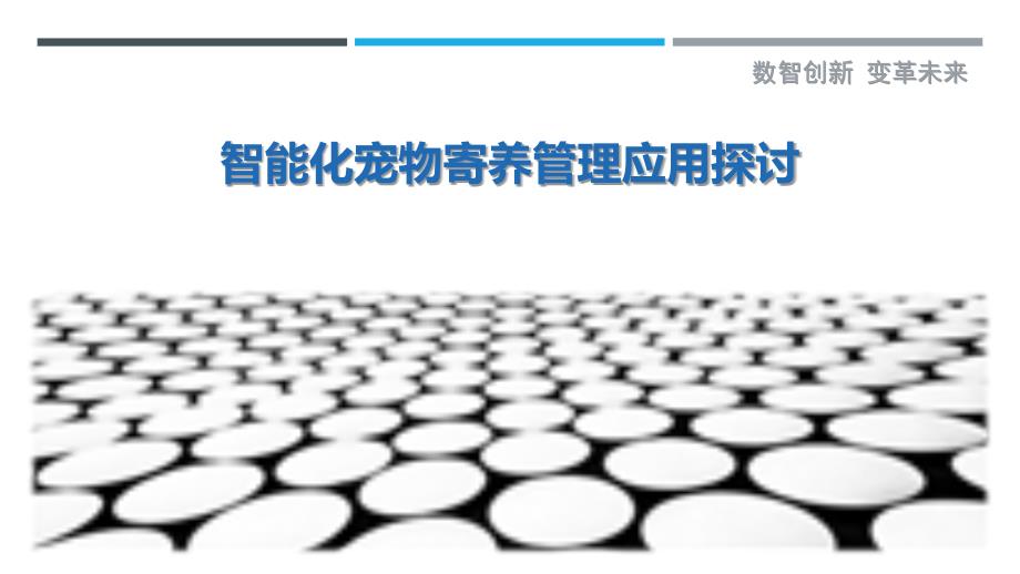 智能化宠物寄养管理应用探讨分析报告_第1页