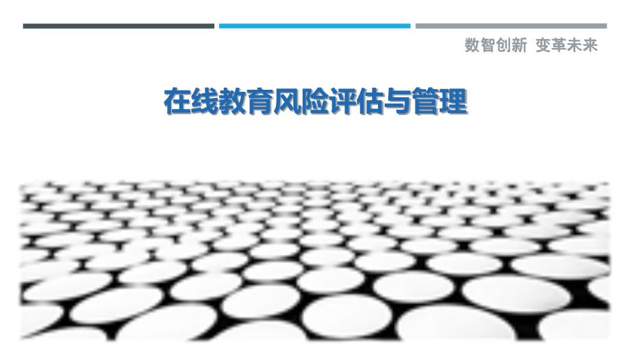 在线教育风险评估与管理_第1页