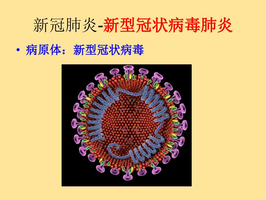 【初中生物】病毒课件2024-2025学年人教版生物七年级上册_第1页
