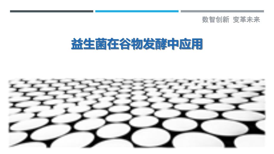 益生菌在谷物发酵中应用_第1页