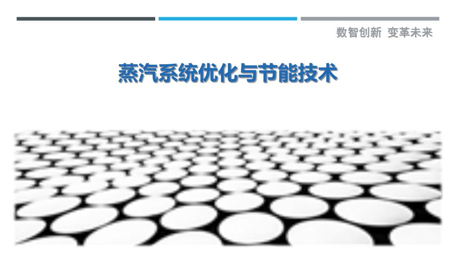 蒸汽系统优化与节能技术_第1页