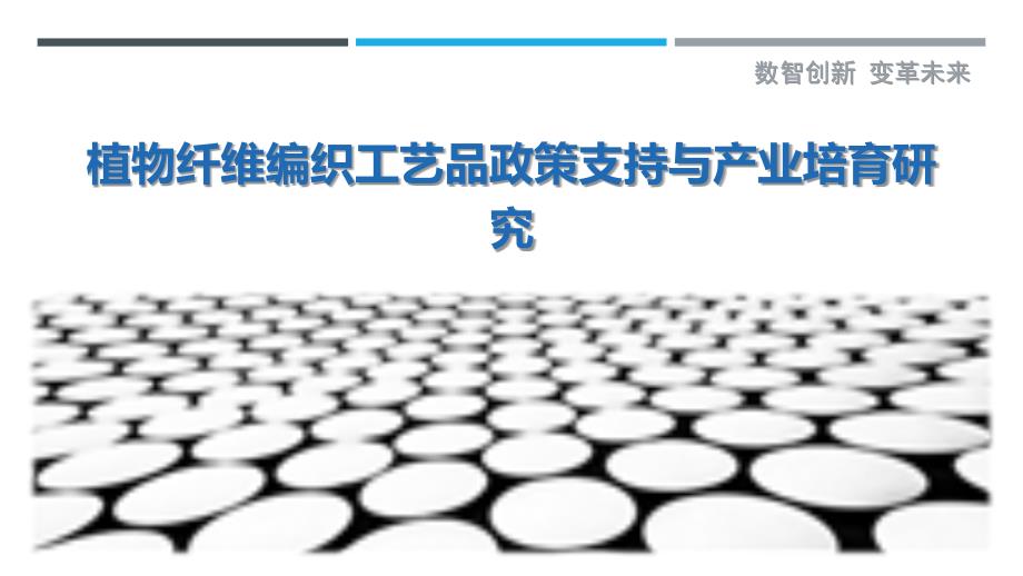 植物纤维编织工艺品政策支持与产业培育研究_第1页