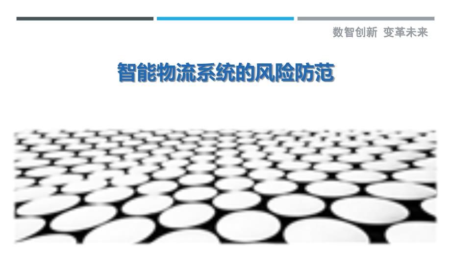 智能物流系统的风险防范_第1页