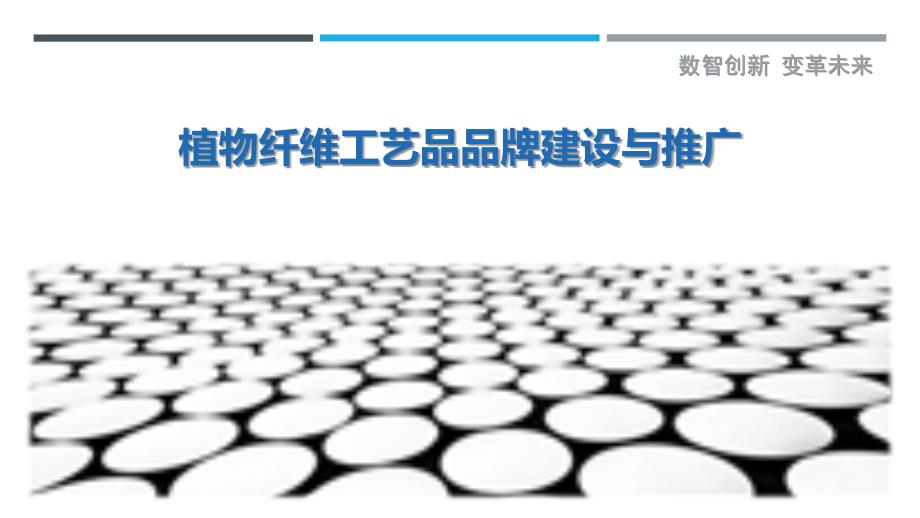 植物纤维工艺品品牌建设与推广_第1页