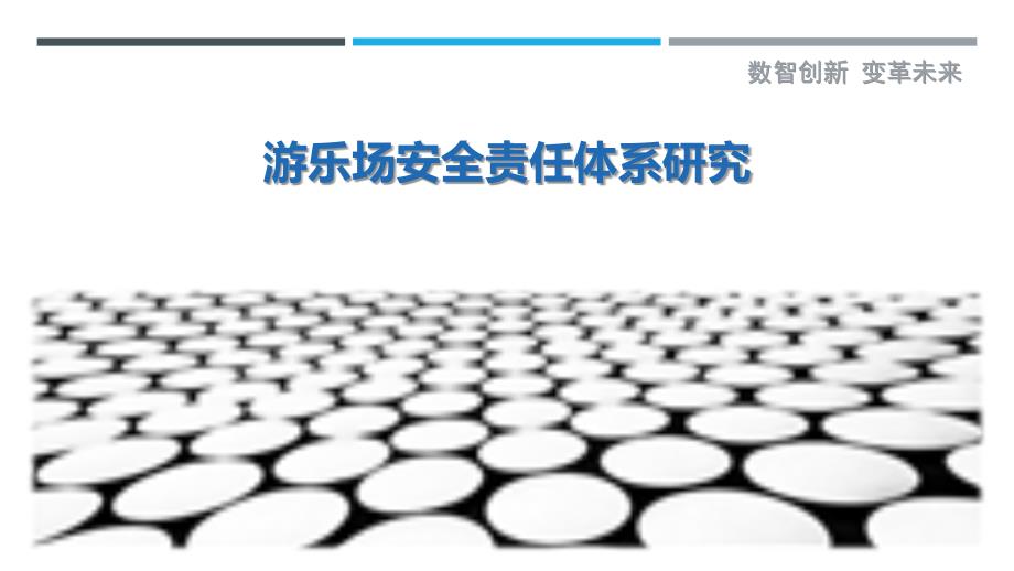 游乐场安全责任体系研究_第1页