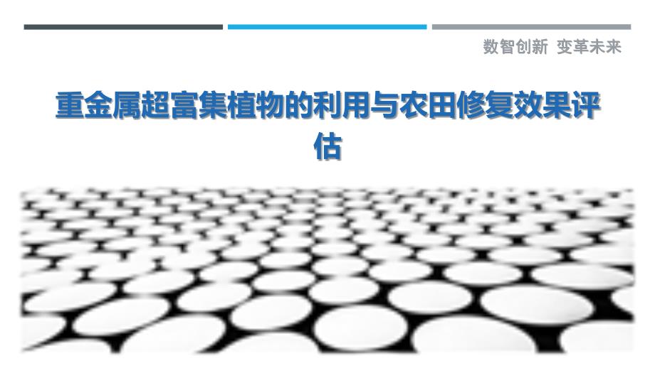重金属超富集植物的利用与农田修复效果评估_第1页