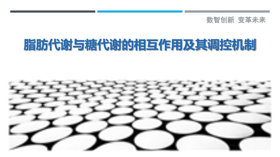 脂肪代谢与糖代谢的相互作用及其调控机制_第1页