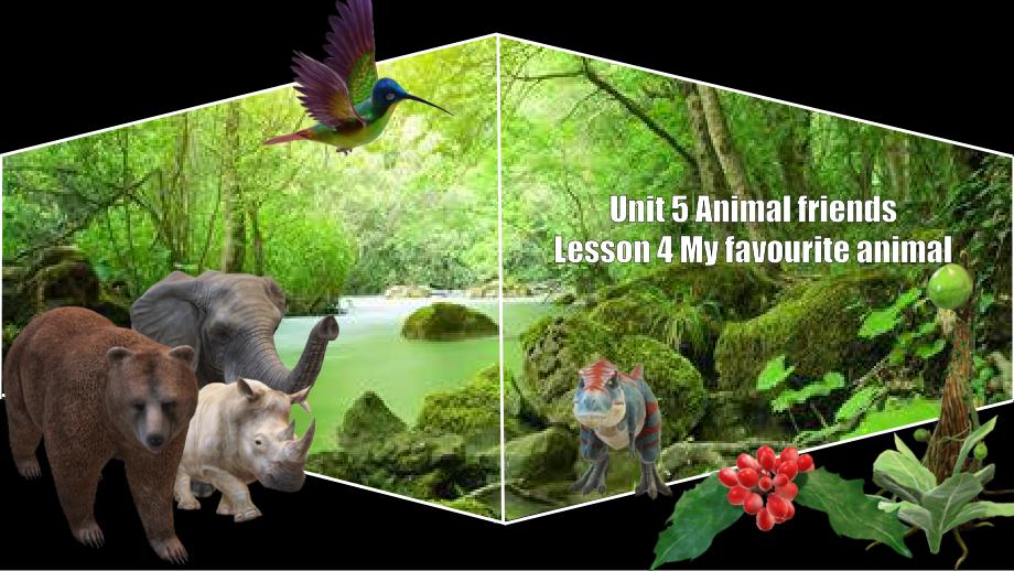 Unit 5 Lesson 4 名师课件 2024-2025学年七年级英语上册冀教版（2024）_第1页