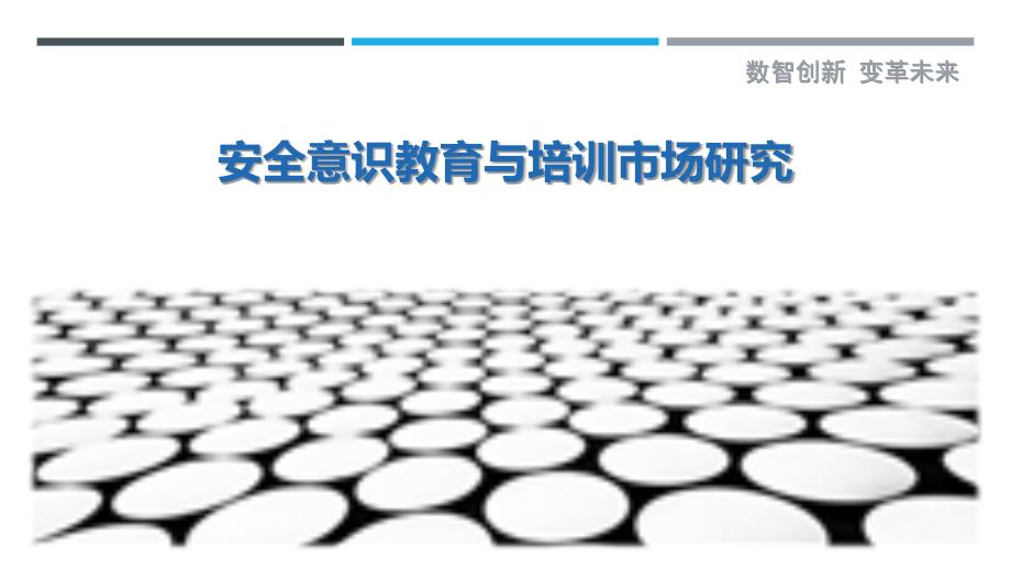 安全意识教育与培训市场研究-洞察研究_第1页