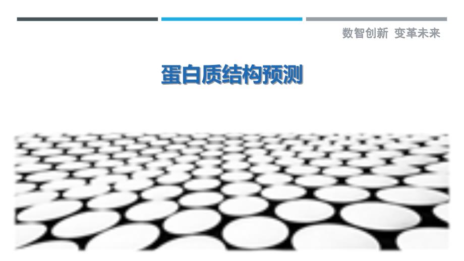 蛋白质结构预测-洞察研究_第1页
