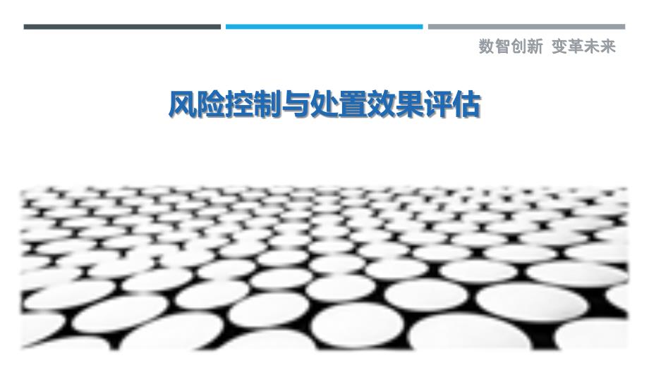 风险控制与处置效果评估-洞察研究_第1页