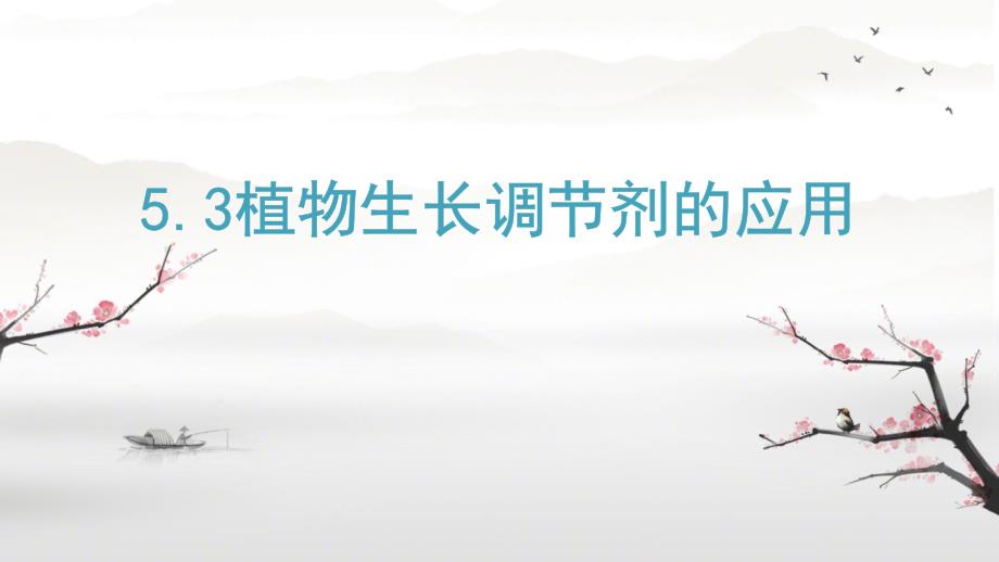 【生物】植物生长调节剂的应用课件+2024—2025学年高二上学期生物人教版选择性必修1_第1页