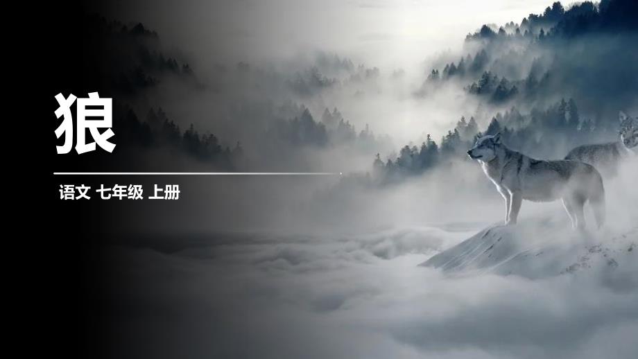 【课件】第20课《狼》课件2024-2025学年统编版语文七年级上册_第1页