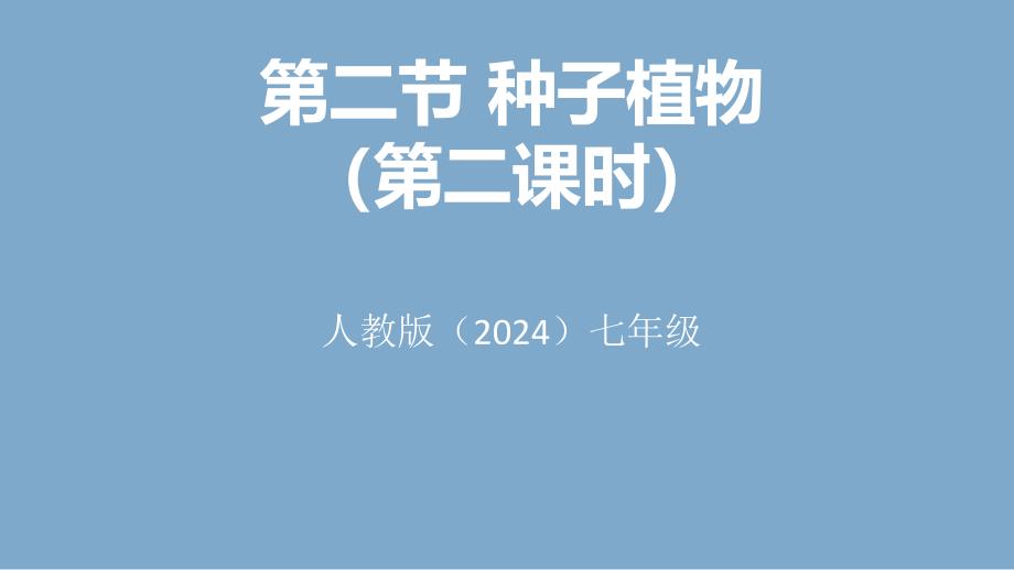 人教版（2024新板）七年级生物上册第二单元第一章第二节《种子植物（第二课时）》优质课件_第1页