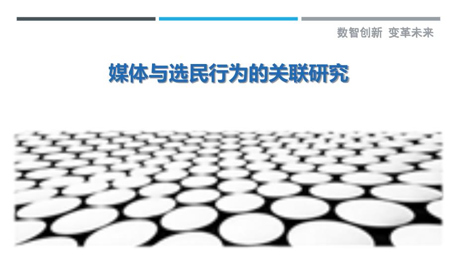 媒体与选民行为的关联研究_第1页