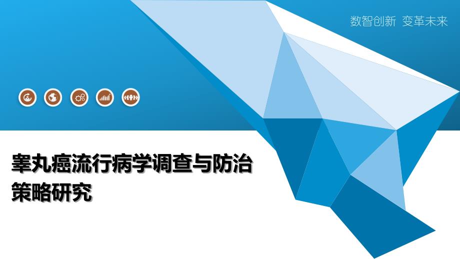 睾丸癌流行病学调查与防治策略研究_第1页