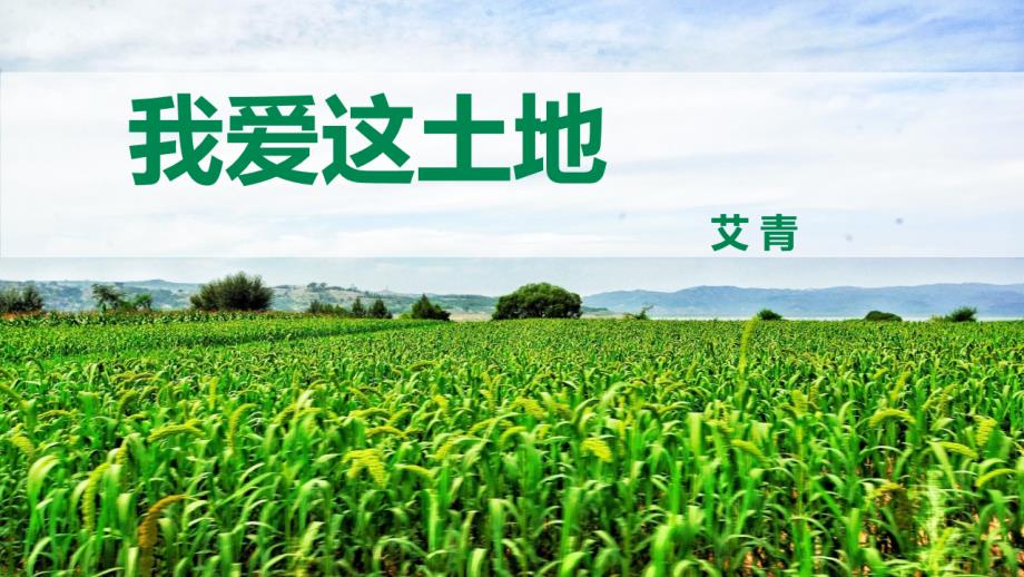 人教统编九年级语文上册《我爱这土地》示范教学课件_第1页