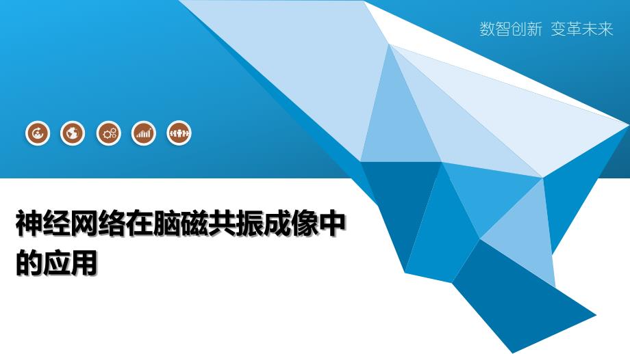 神经网络在脑磁共振成像中的应用_第1页