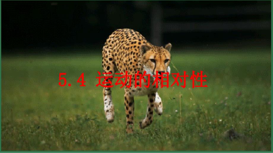 【物 理】运动相对性　-2024-2025学年苏科版物理八年级上册_第1页