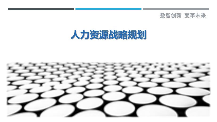人力资源战略规划-洞察研究_第1页