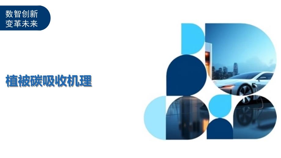 植被碳吸收机理-洞察分析_第1页