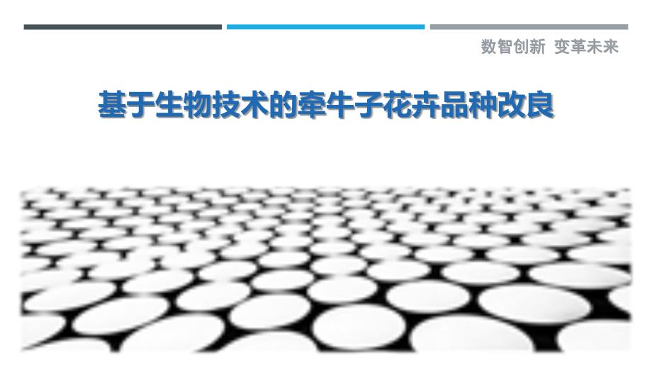 基于生物技术的牵牛子花卉品种改良-洞察分析_第1页