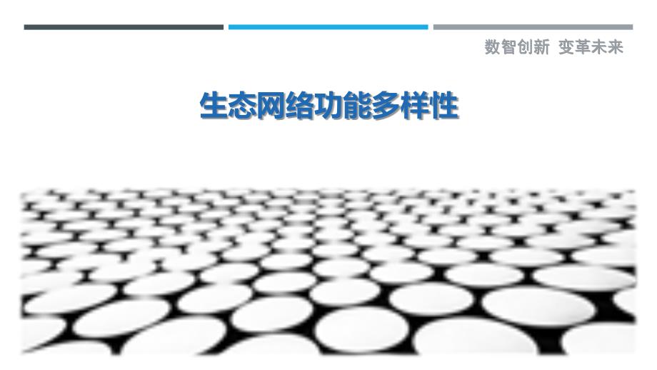 生态网络功能多样性-洞察研究_第1页